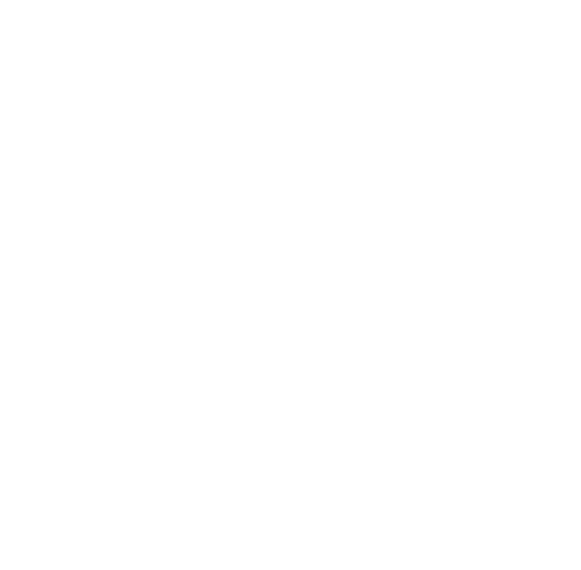 MC Square Charters